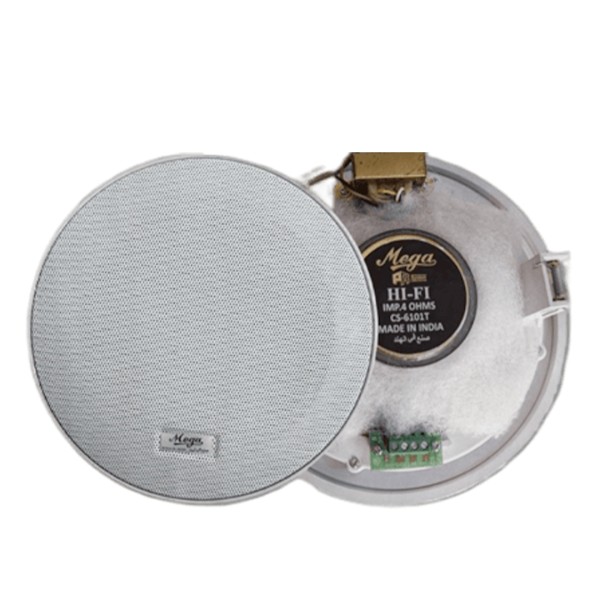 CS 6101T 